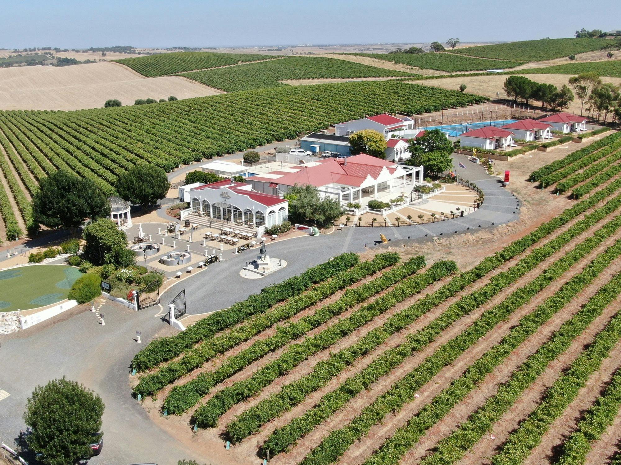 Barossa White Night