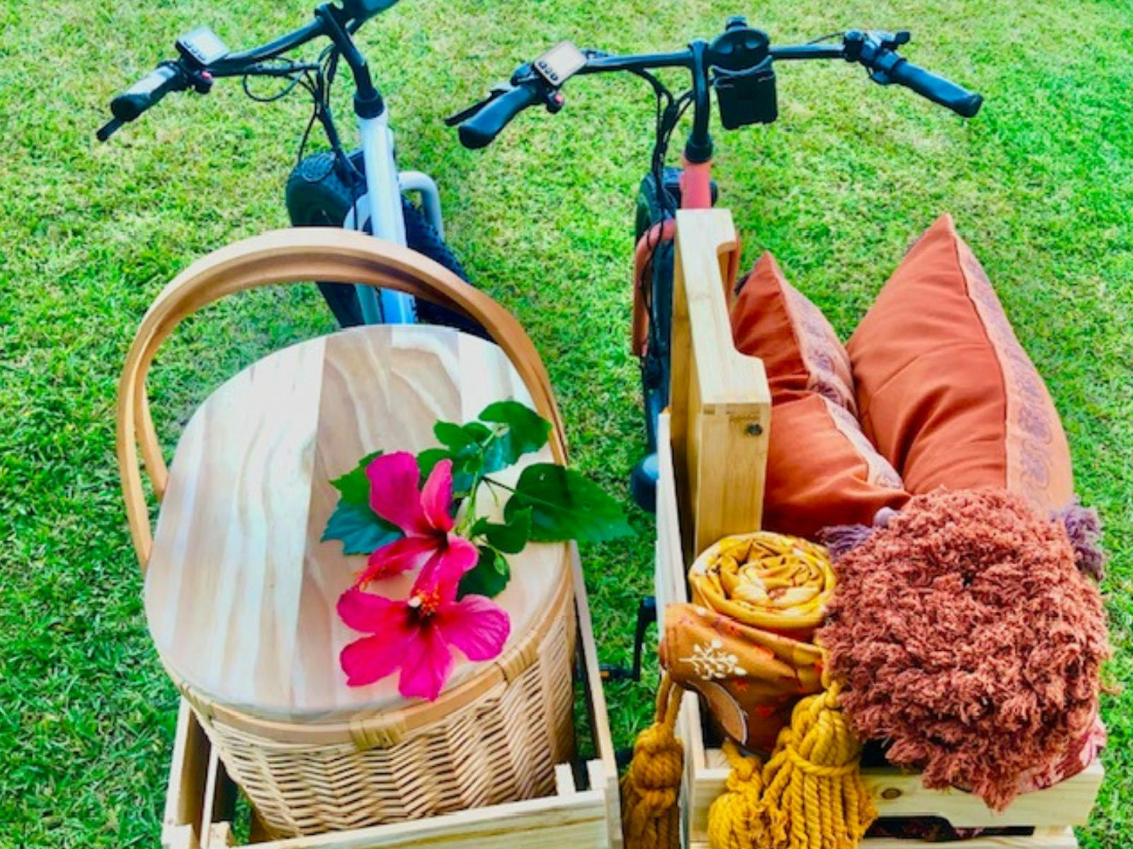 Pedals and Picnics boxes on bikes