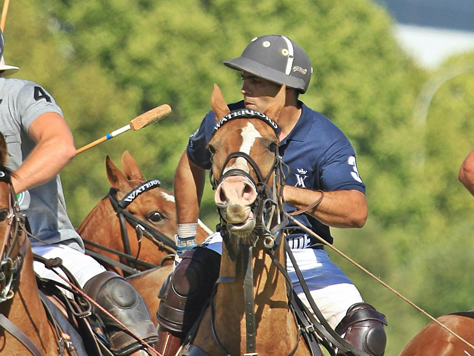 Image for Land Rover Polo in the City