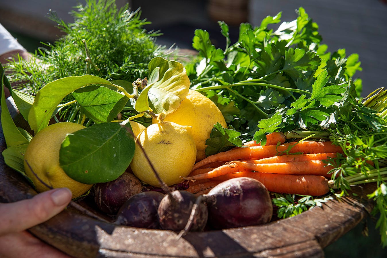 Fresh Home Grown Seasonal Produce