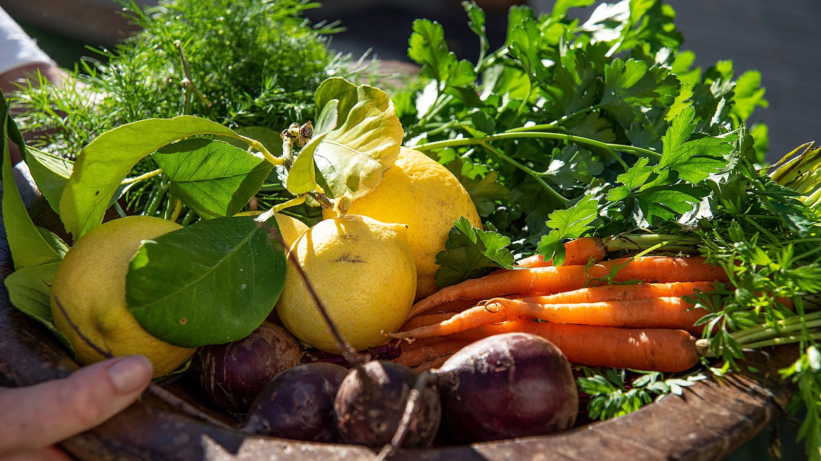 Fresh Home Grown Seasonal Produce