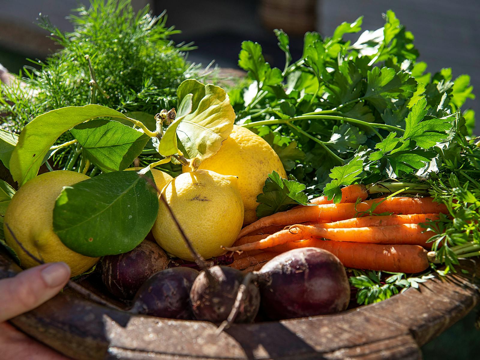 Fresh farm to table seasonal produce