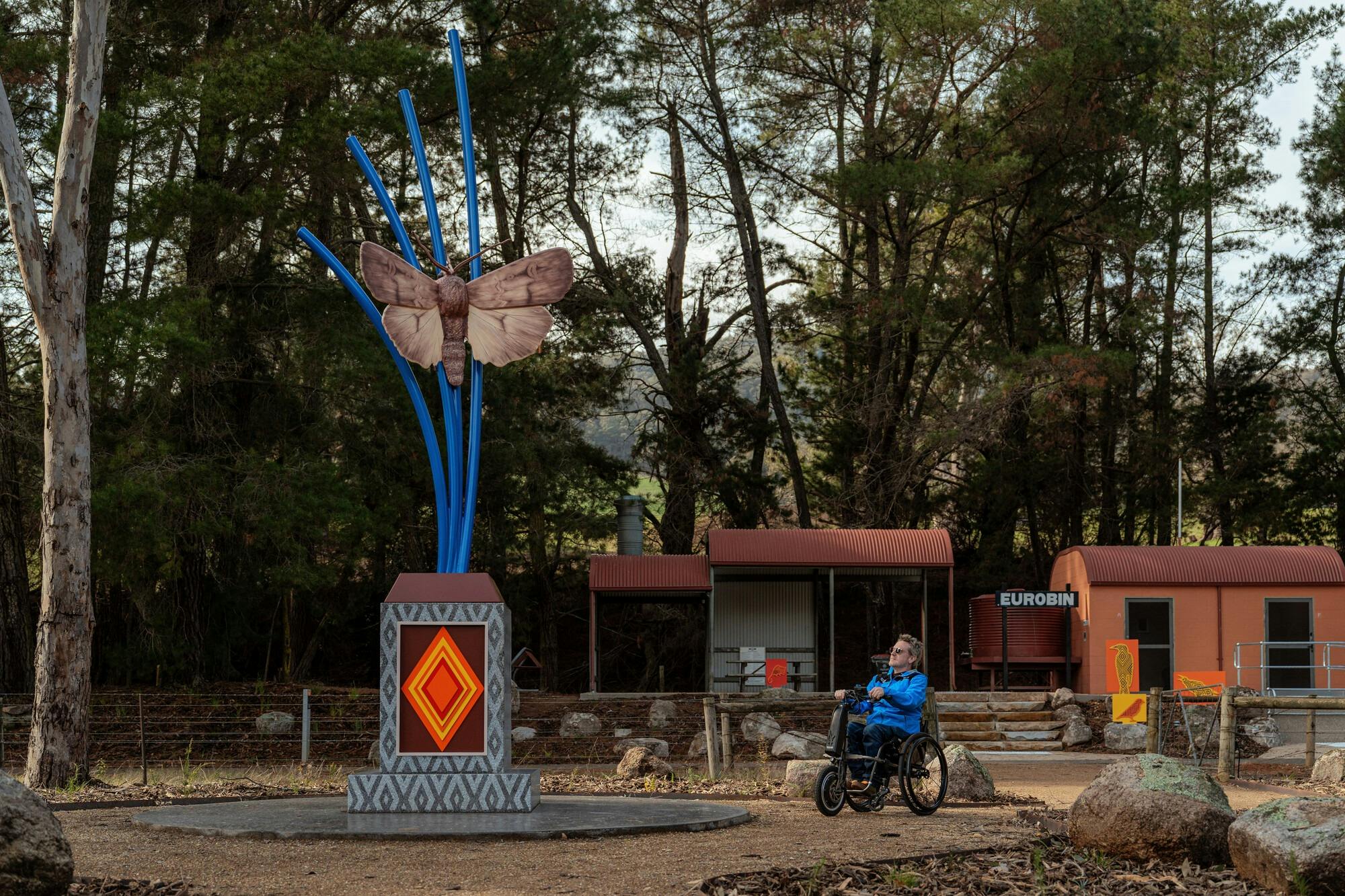 A man in a wheelchair is looking at a large sculpture of a Bogong Moth on a plinth with blue poles