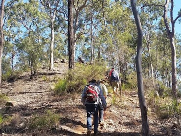 Springwood Mountain Recreational Trail