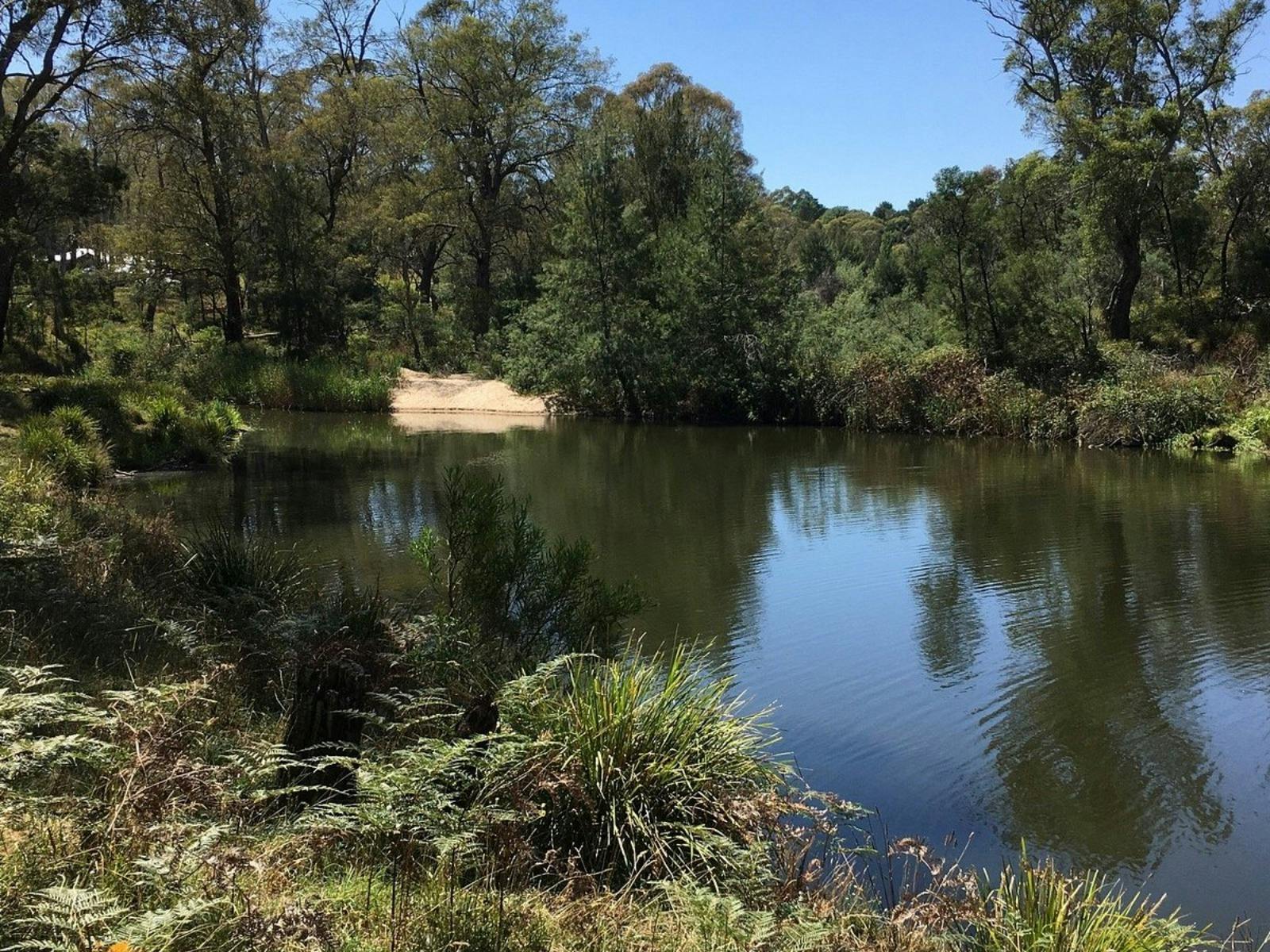 Berrima River Reserve