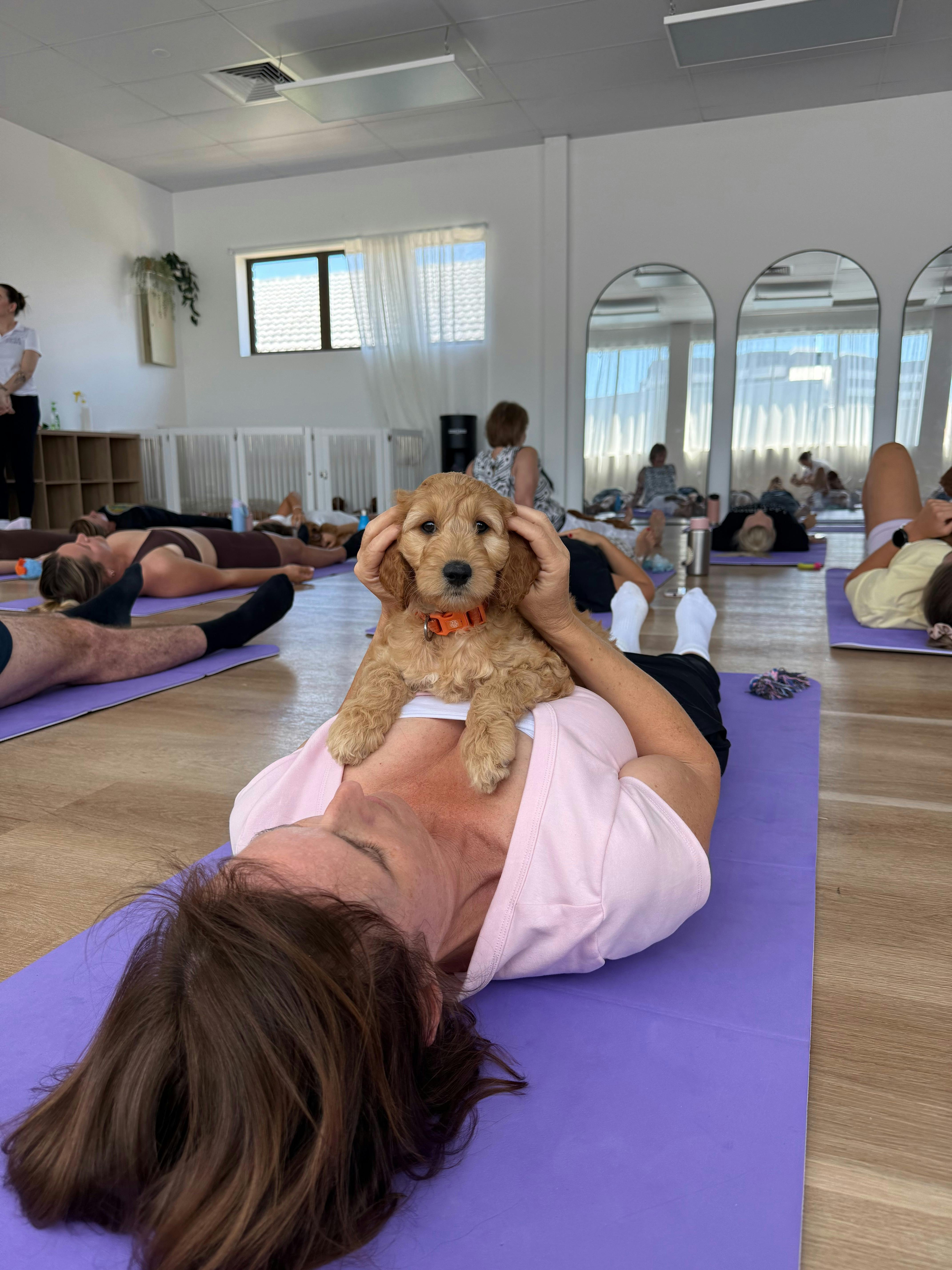 A participant cuddling a puppy during a Yoga Paws Sunshine Coast session.