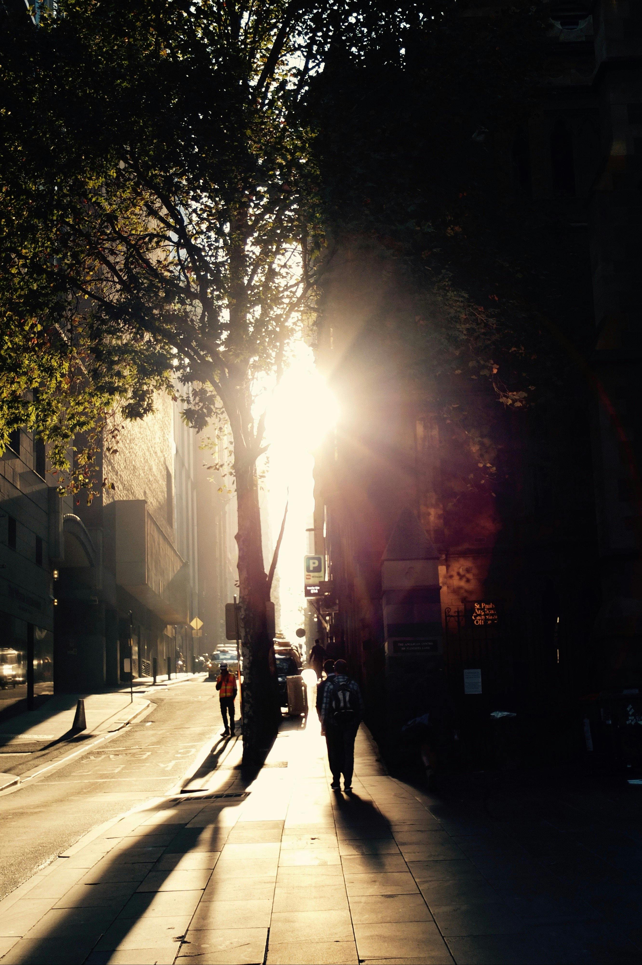 Discover underground eateries housing the greatest artisan food producers