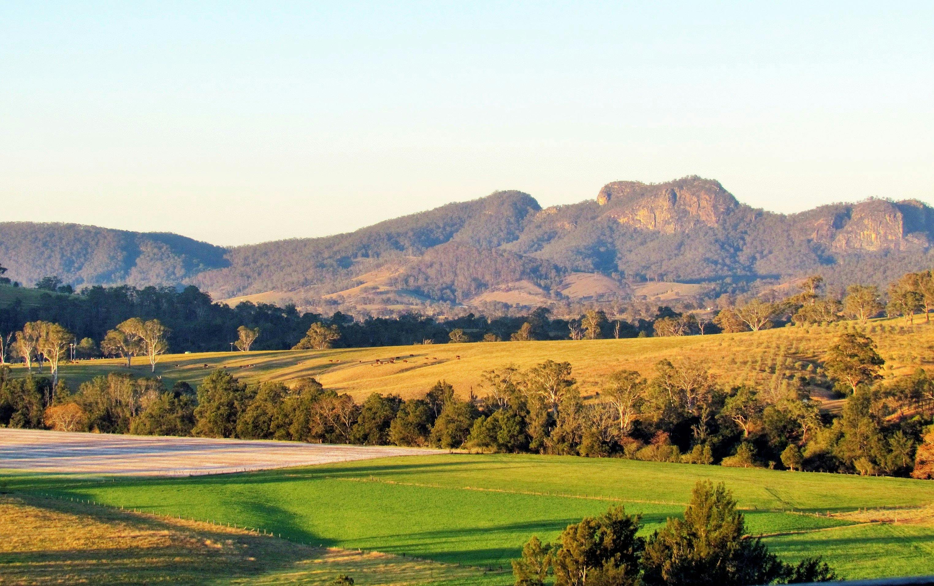 The Bucketts Mountains near Gloucester NSW
