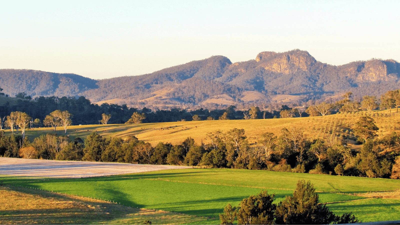 Tourist Drive 2 - The Bucketts Way