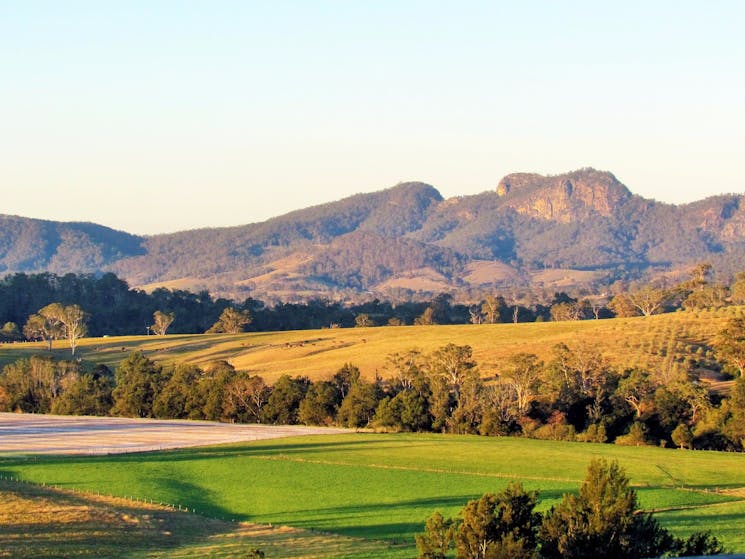 The Bucketts Mountains near Gloucester NSW