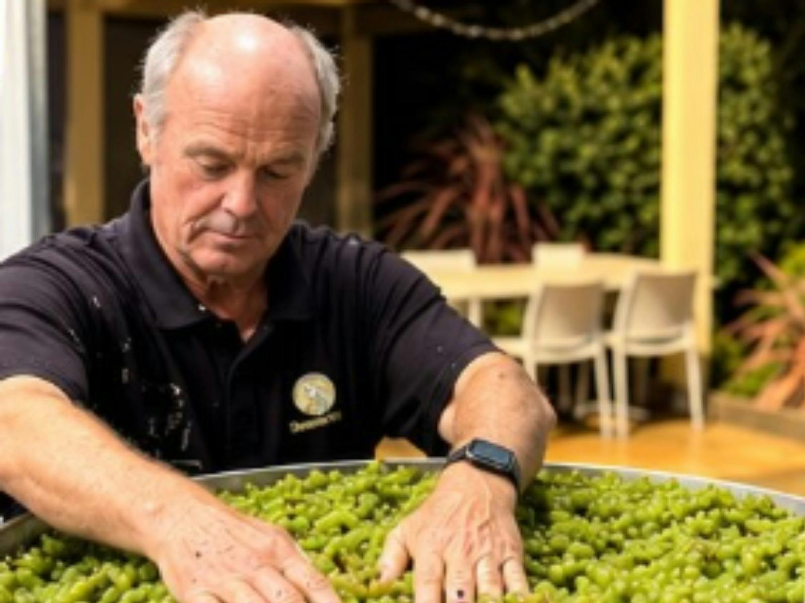Dionysus Winery