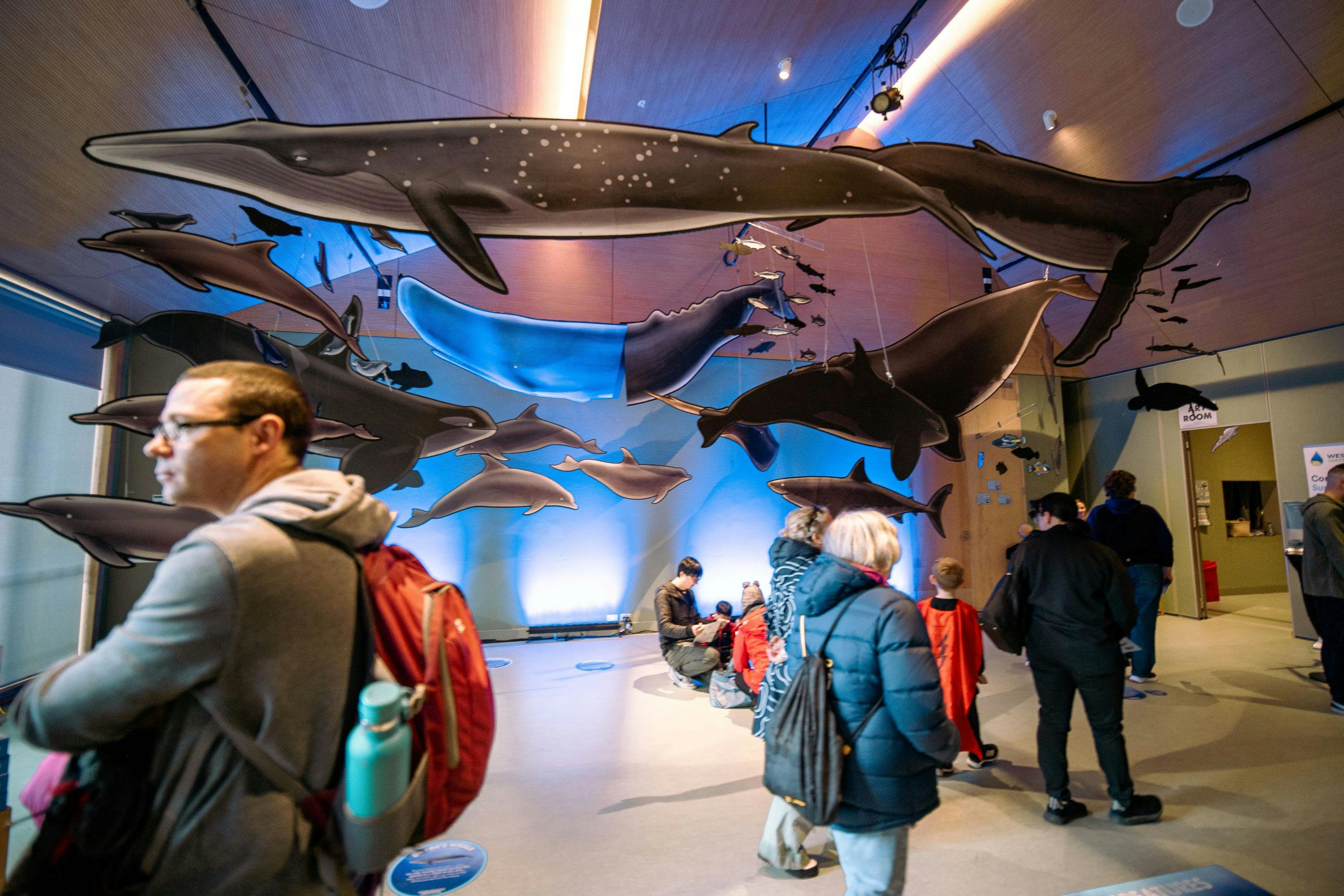 Island Whale Festival