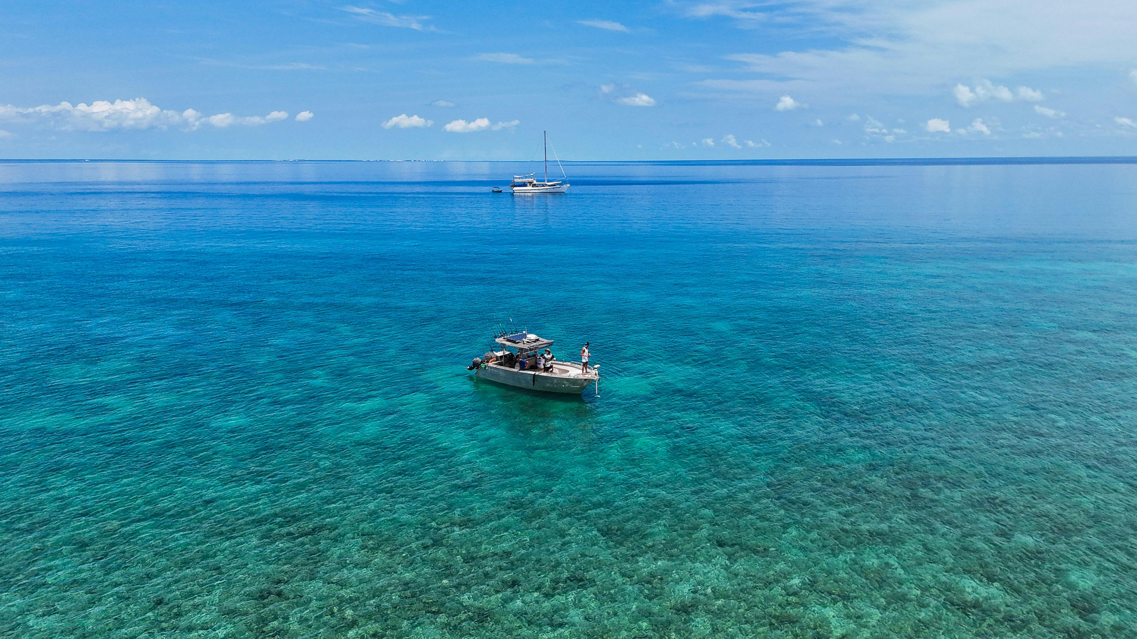 Fishing tender with mothership