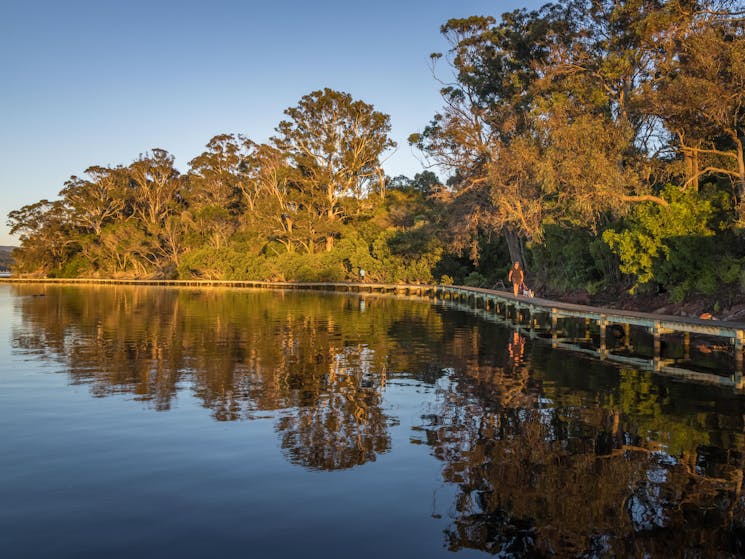 Merimbula Boardwalk, walks, Merimbula, walking, dog friendly, Sapphire Coast, South Coast