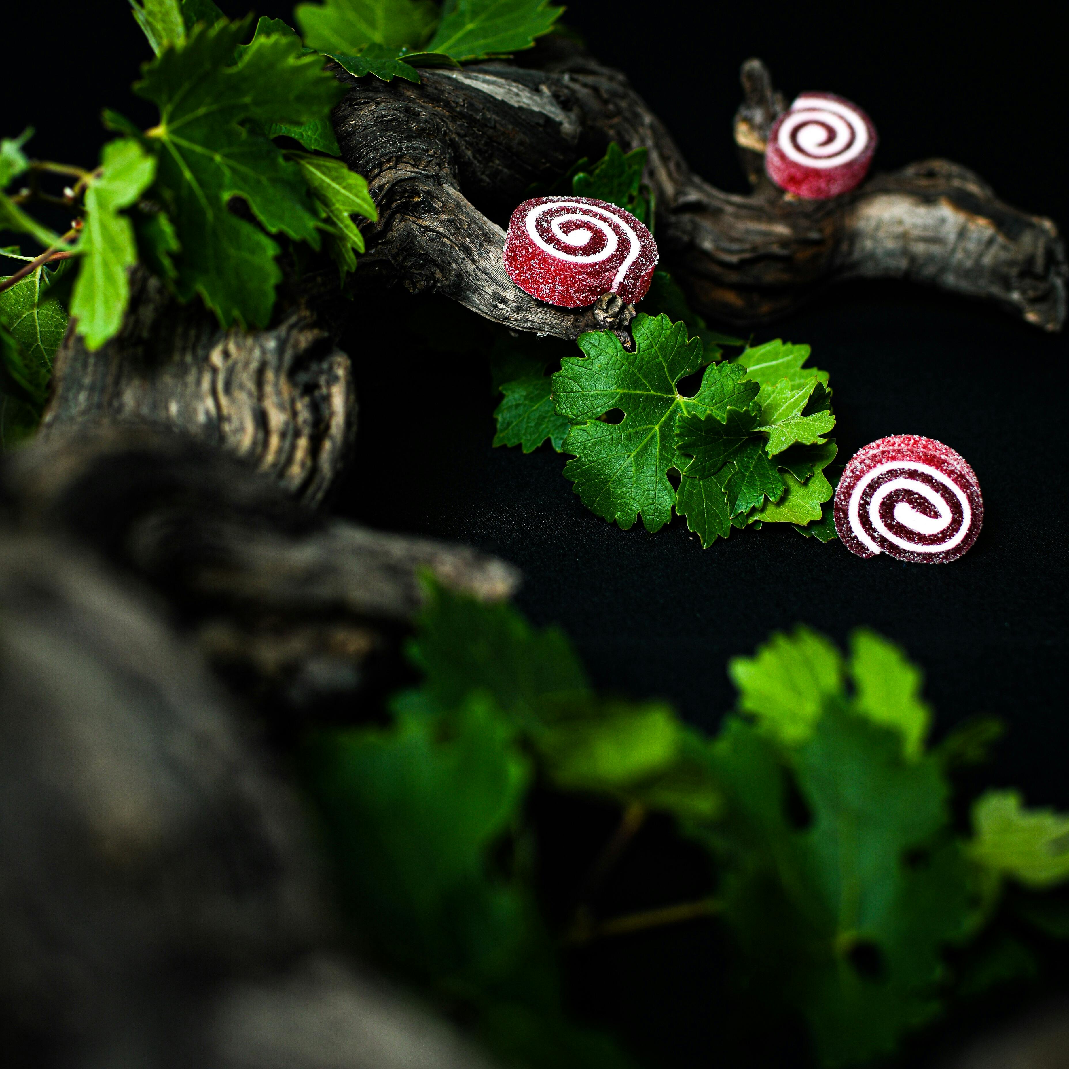 Tasting Australia: Candyland - Sweet Secrets of the Land Down Under