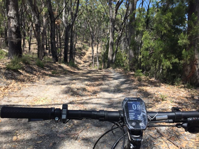 MT Lofty Wheels Wine Wildlife E Bike tour