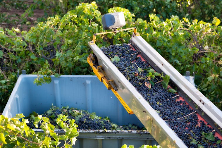 Burk Salter Boutique Wines