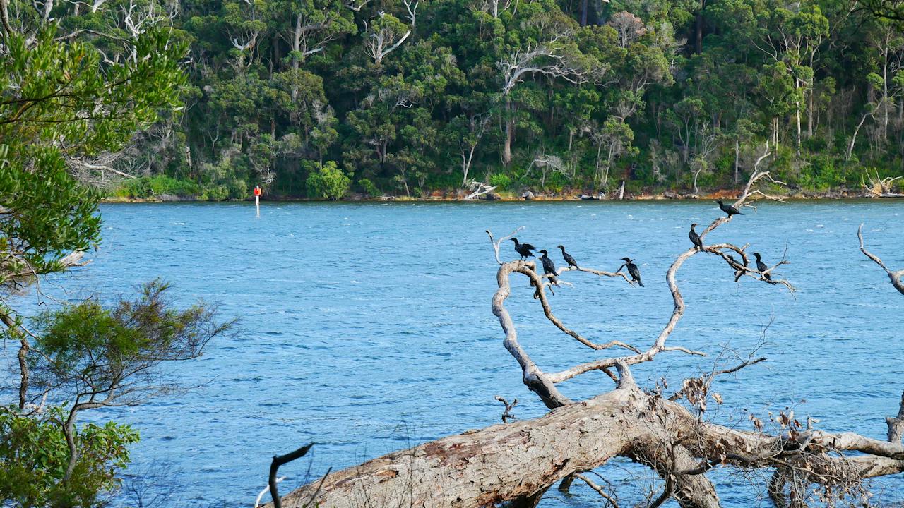 Walpole and Nornalup Inlets Marine Park