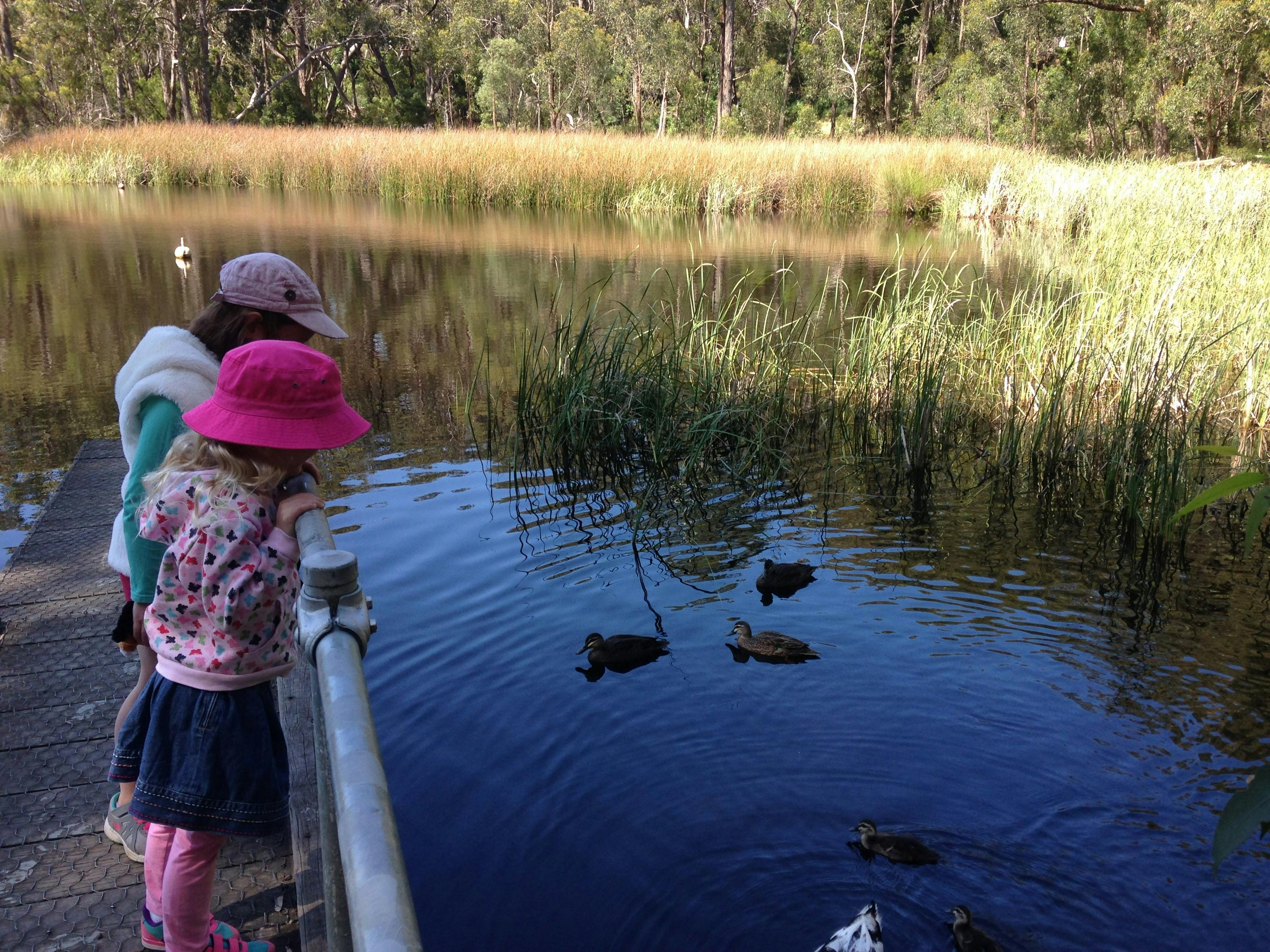 Woorabinda Lake & Bushland Reserves