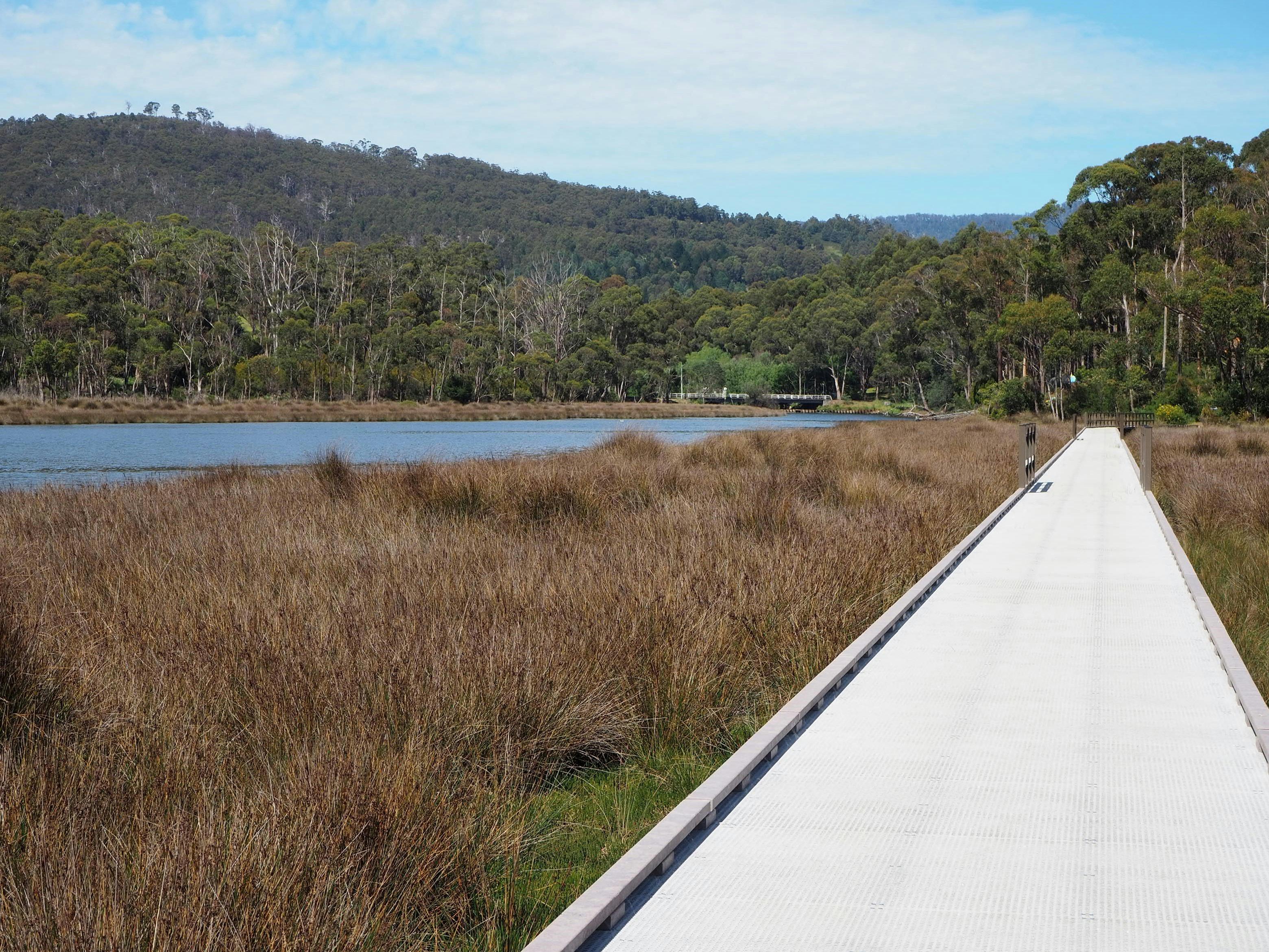 A boardwalk in wetlands with the Kermandie River in the background.
