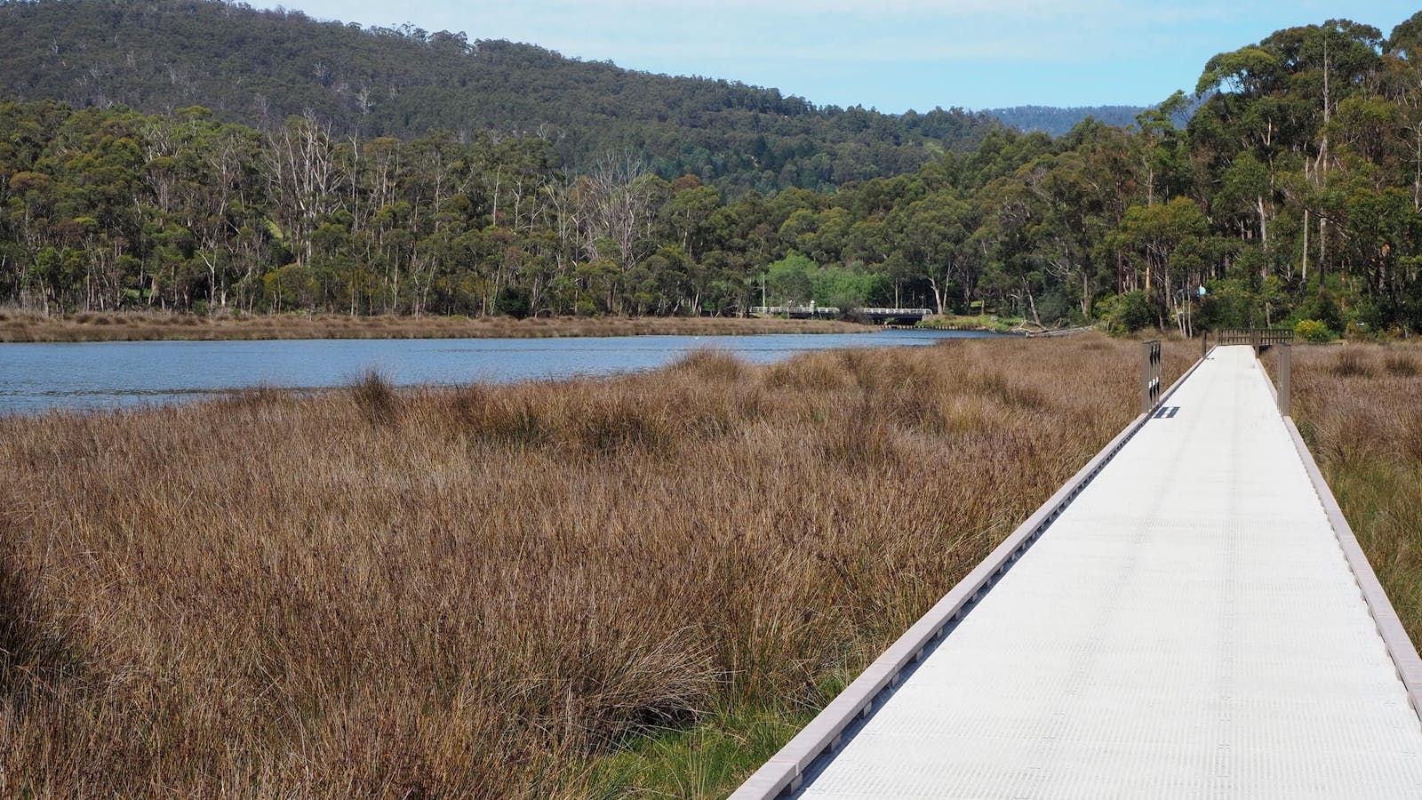 The nearby boardwalk is part of the walking track to Geeveston