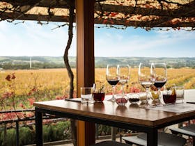 Seated wine-tasting at Hugh Hamilton Wines overlooking McLaren Vale vineyards