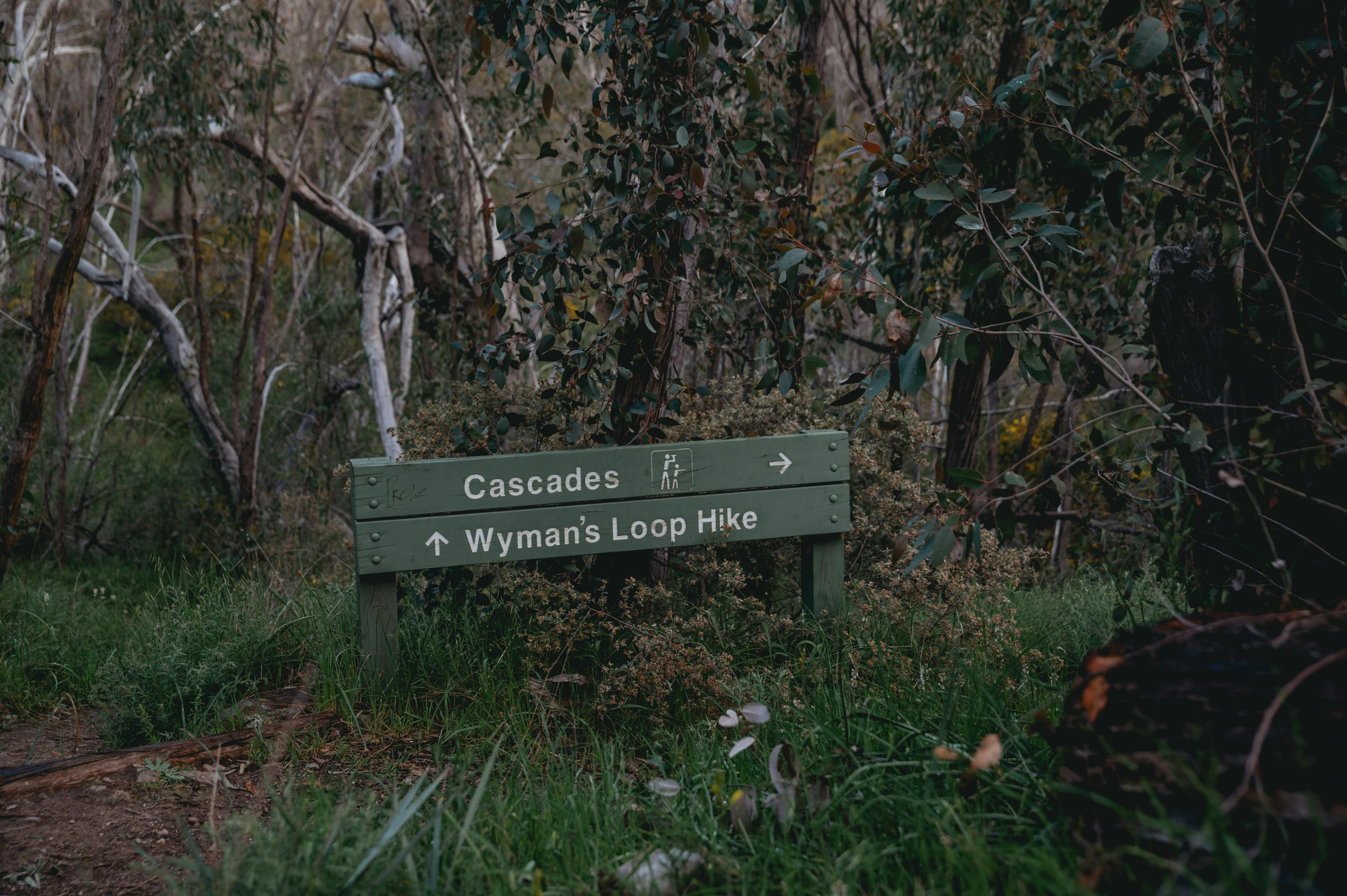 Cascades Short Walk