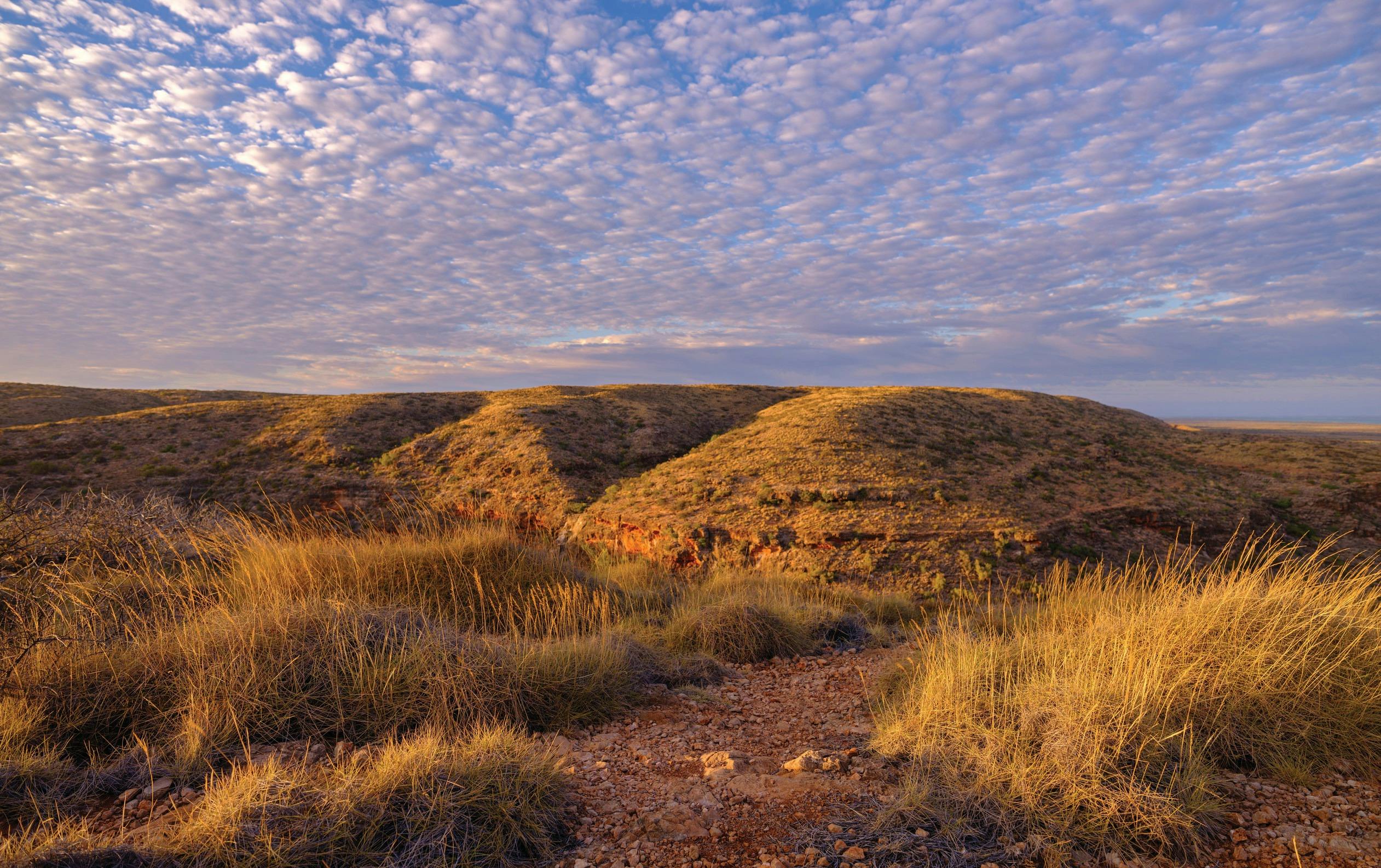Coral Coast Wildlife, Exmouth, Western Australia