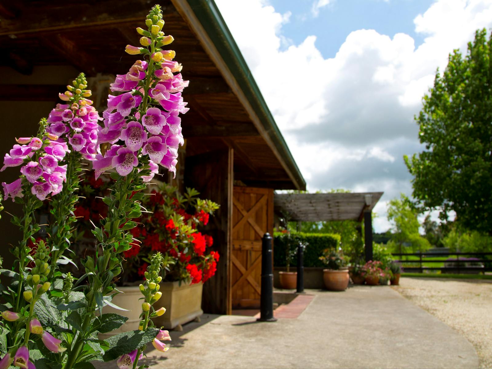 St Maur Wines