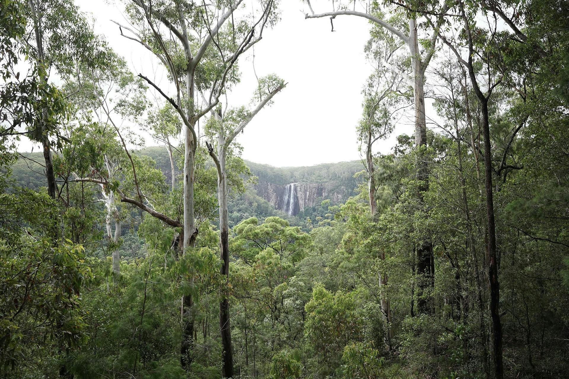 Minyon Falls