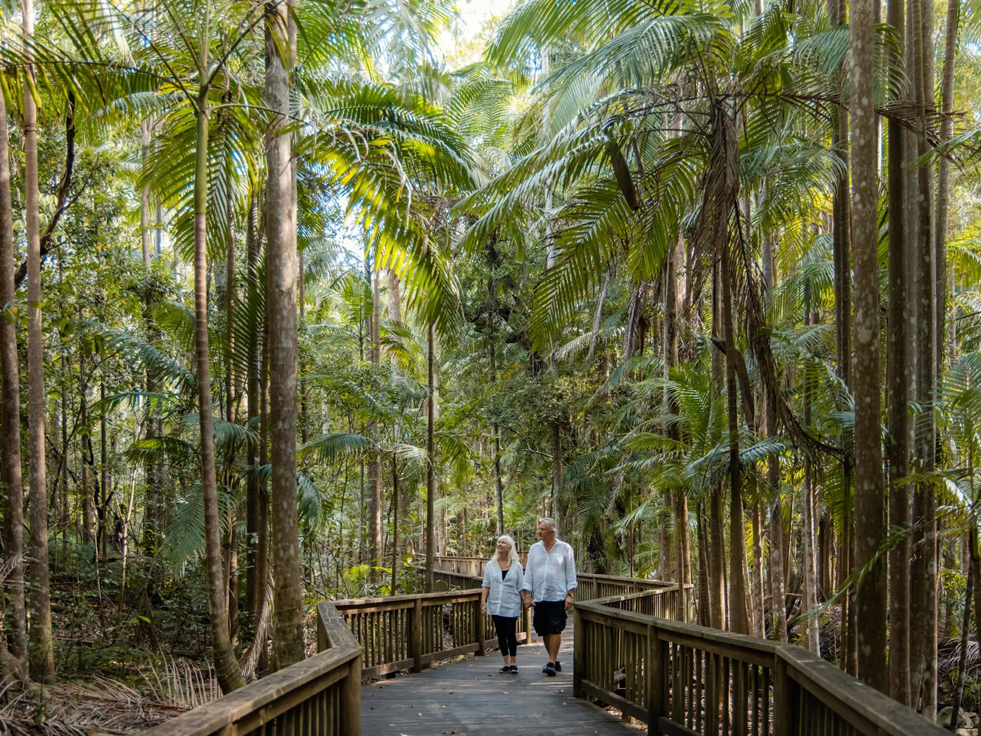 Buderim Forest Park, Buderim, Sunshine Coast