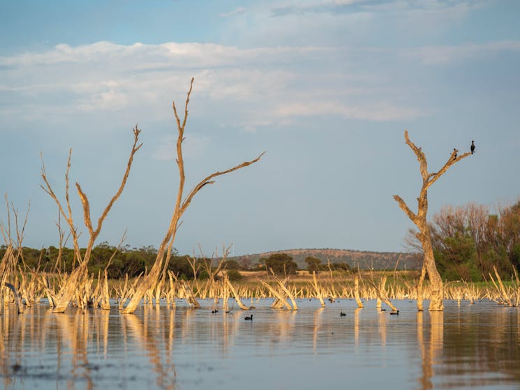 Lake Wyangan