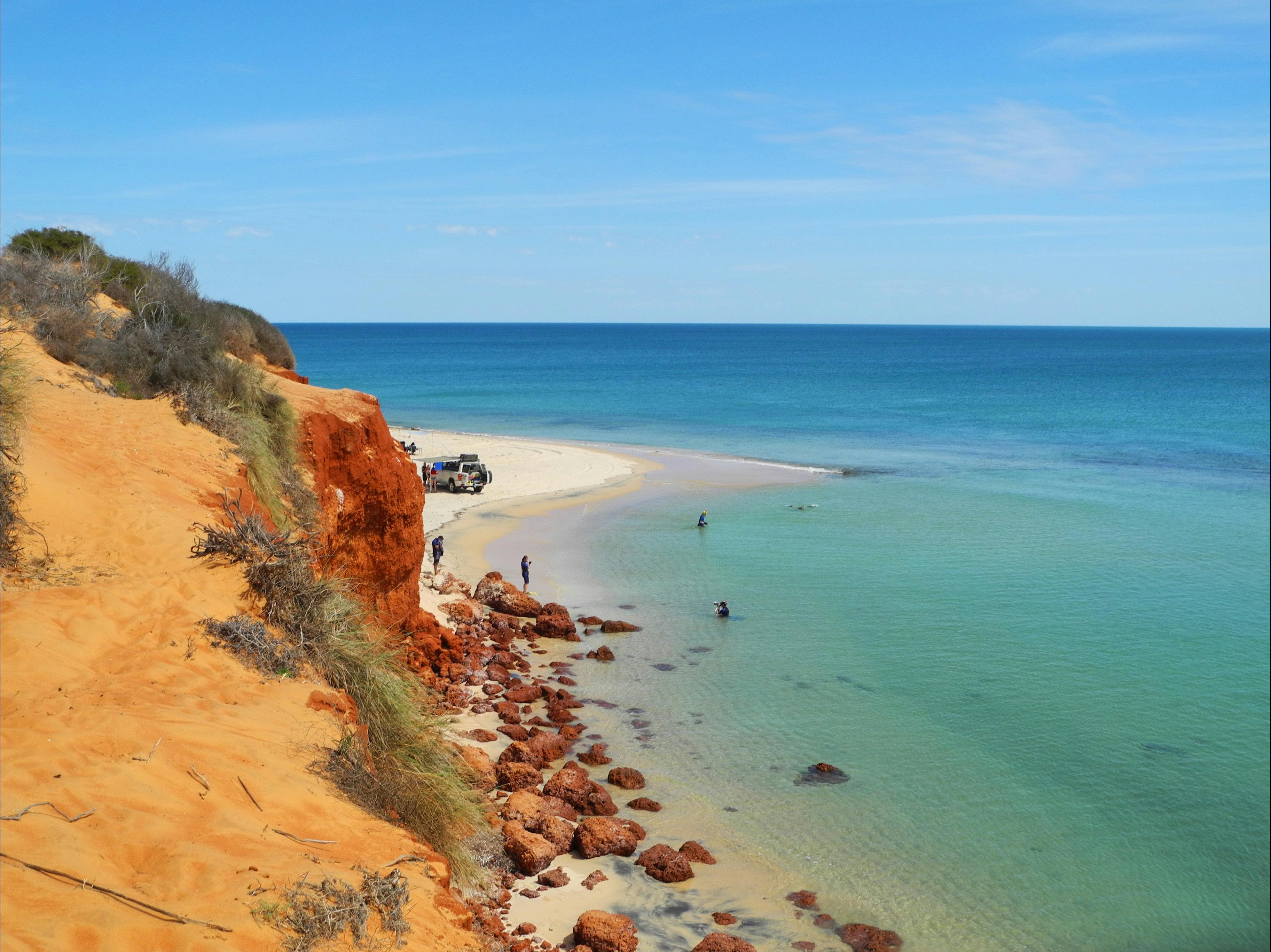 Shark Bay Coastal Tours