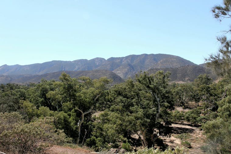 Take a Walk on the Wild Side a yogahiking adventure