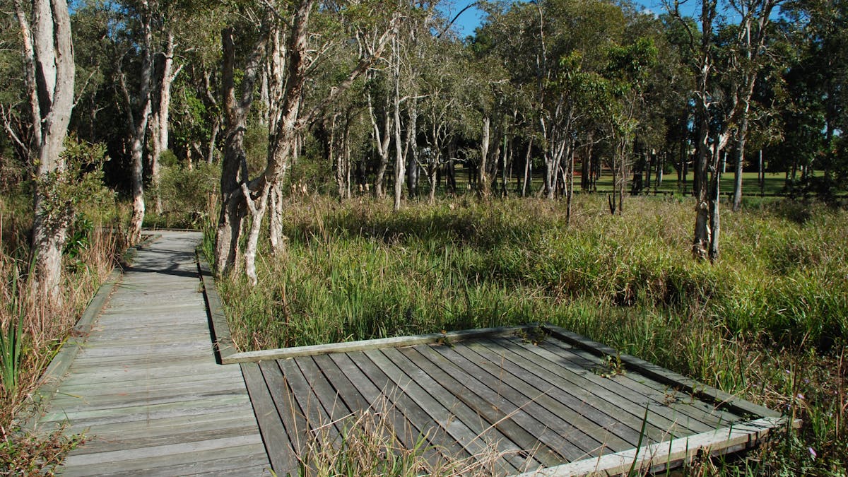 photo of part of the boardwalk and a viewing platform at Fay Smith Wetlands