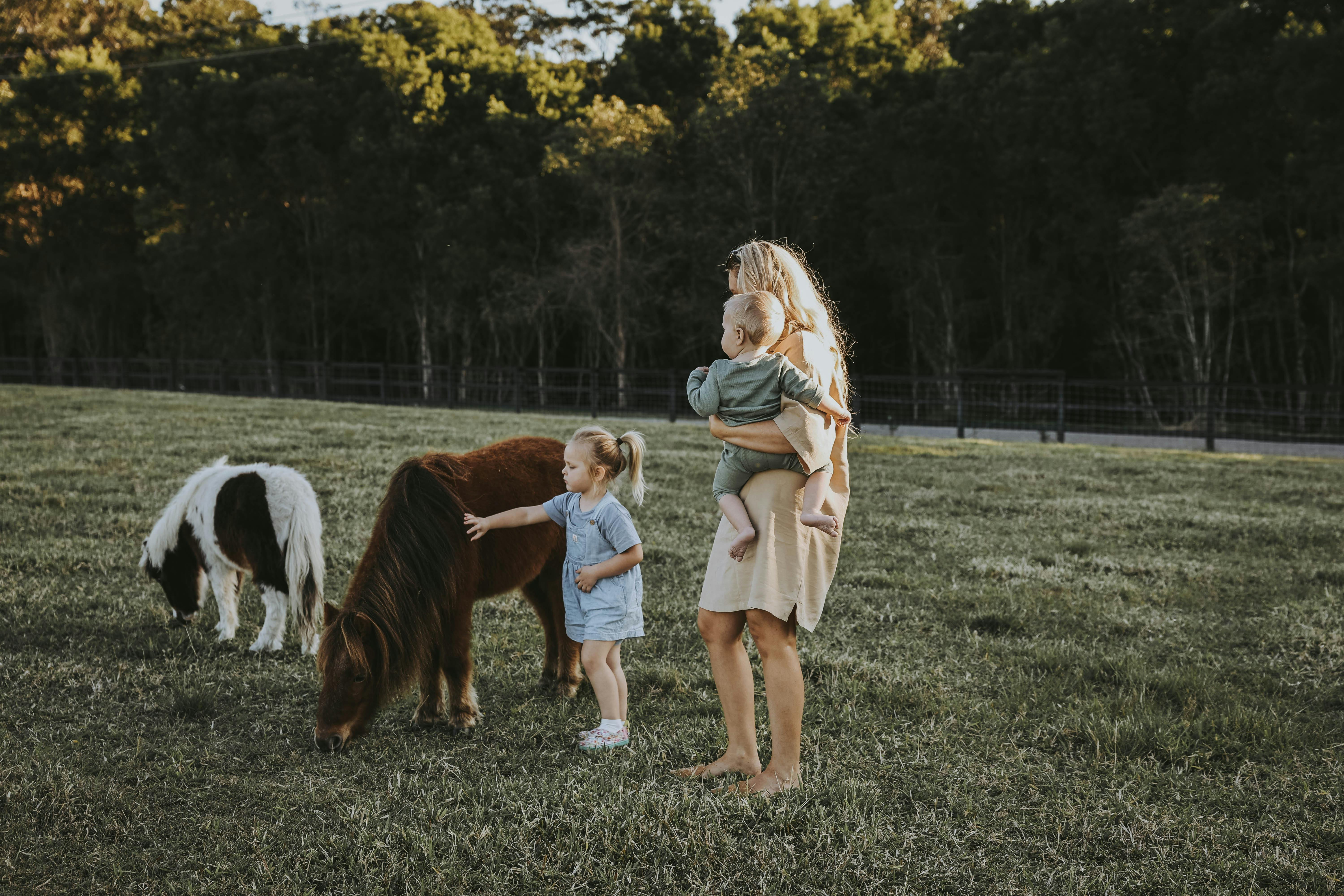 Patting the miniature horses