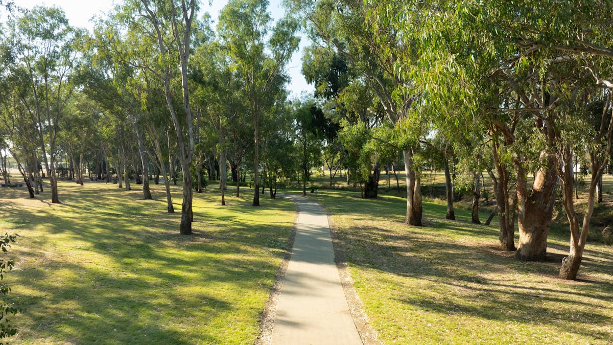 A cement pathway amongst large shady trees and surrounded by grass