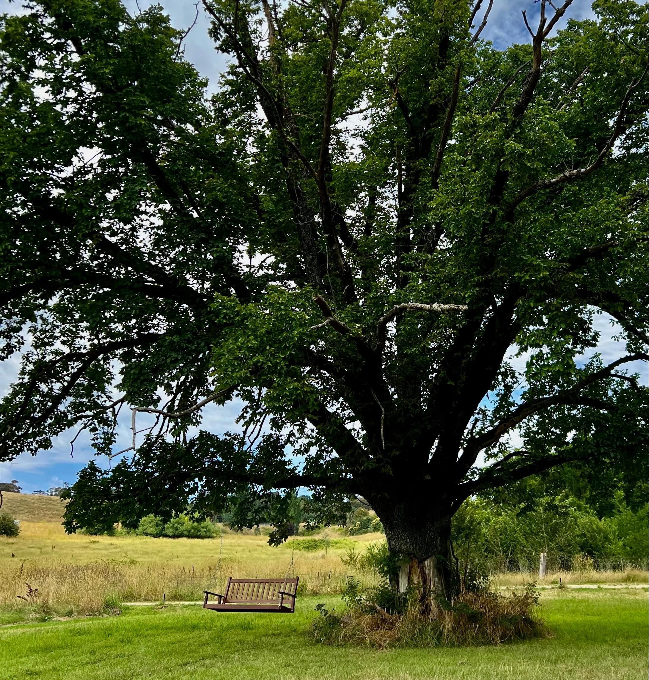 시골 풍경을 바라보며 고요하고 편안한 스윙