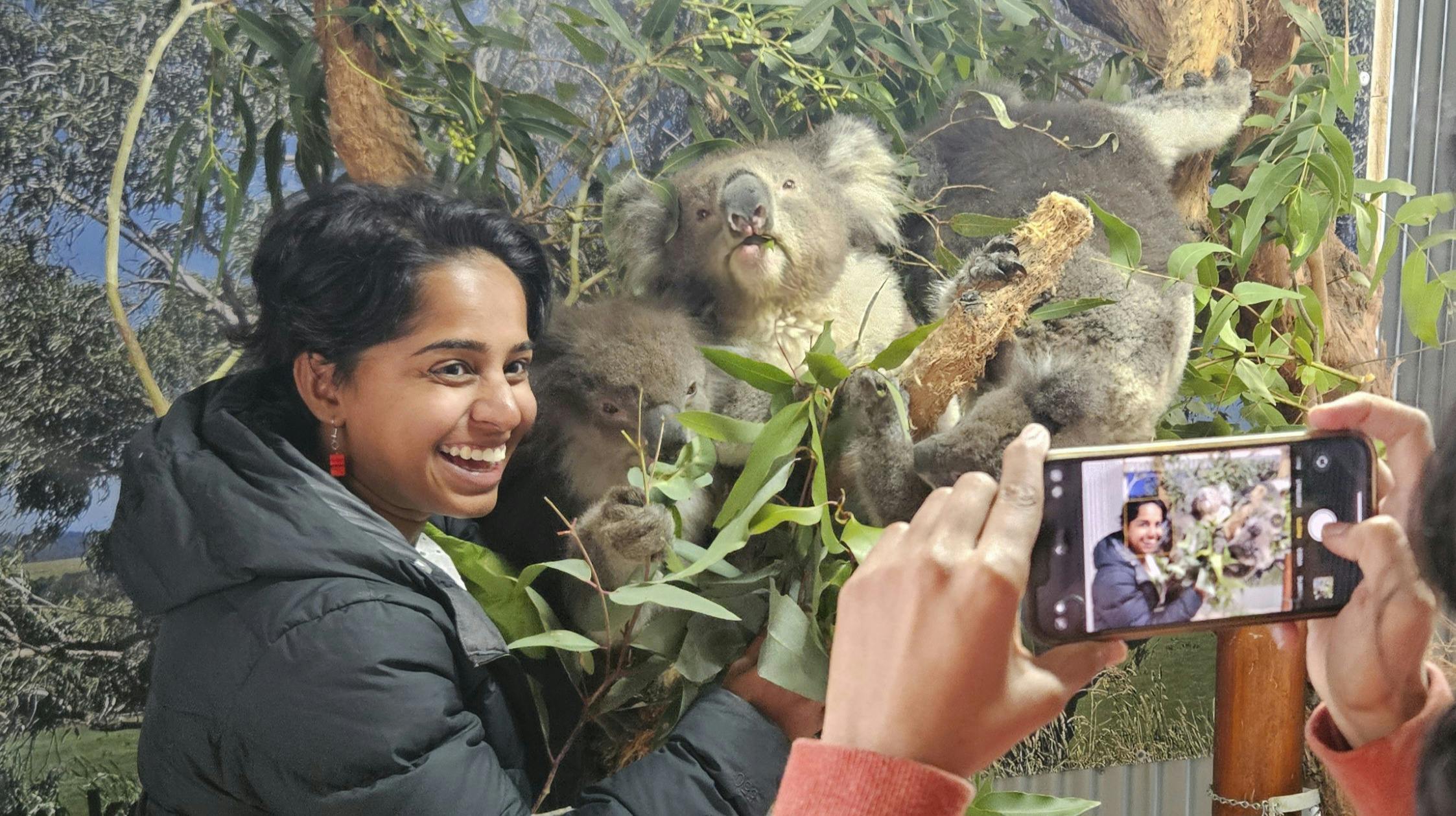 Fauna Australia Koala Experience