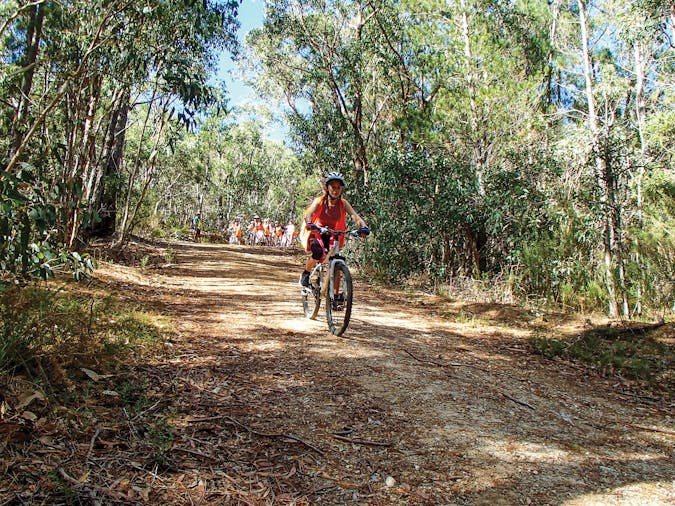 Go Mountain Biking