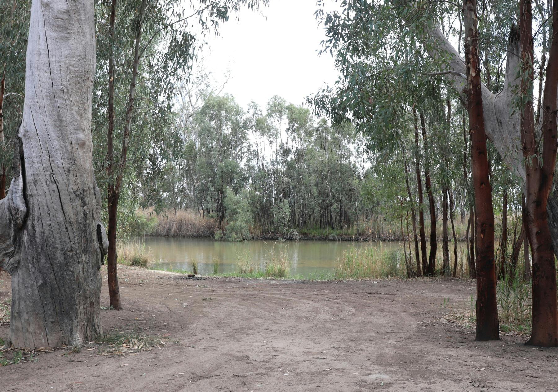 Rillis Reserve