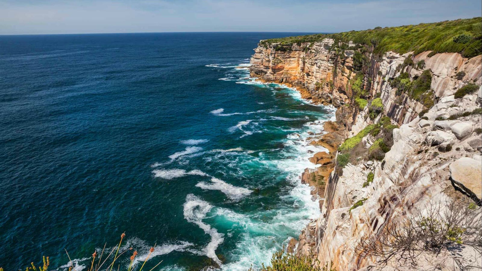 Royal National Park