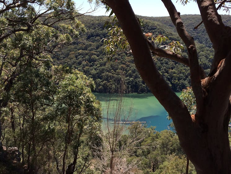 One of the beautiful views from a bushwalk up Towlers Bay Track from Halls Wharf