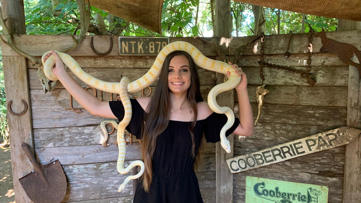 Snake