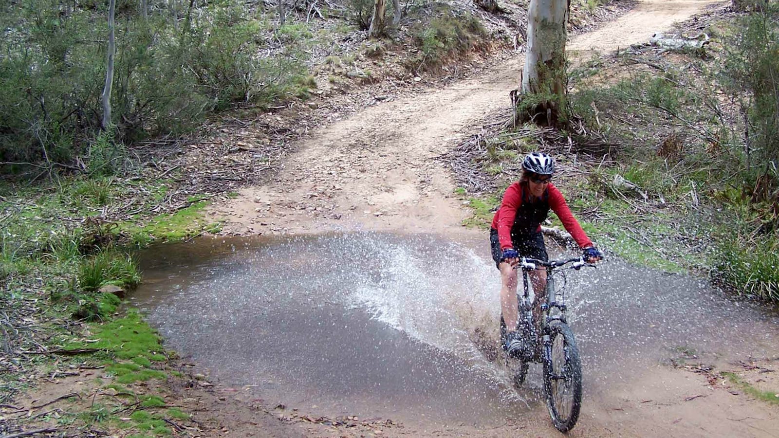 Boyd River Loop