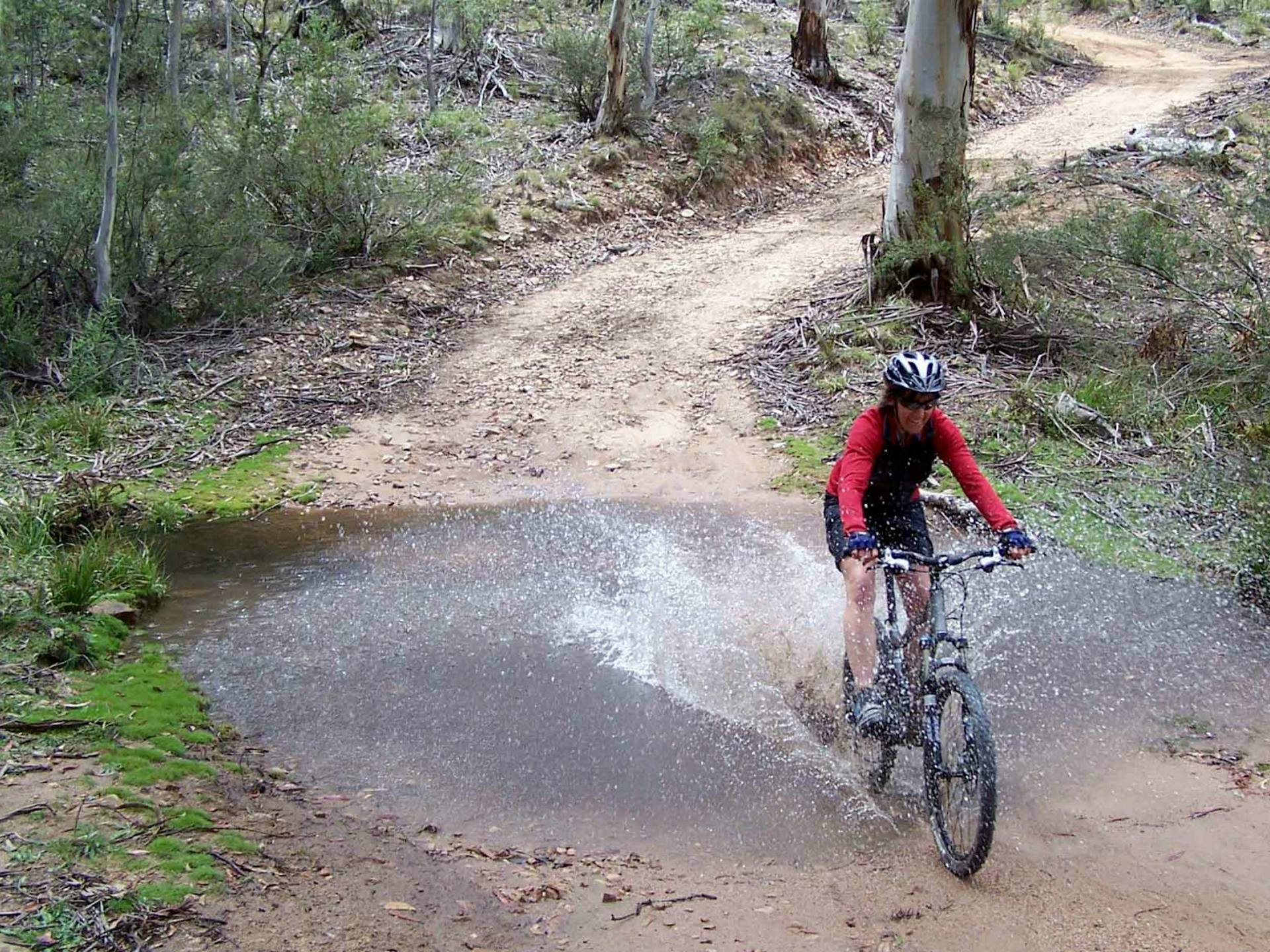 Boyd River Loop in Kanangra - The Fold: Your Guide to Everything ...