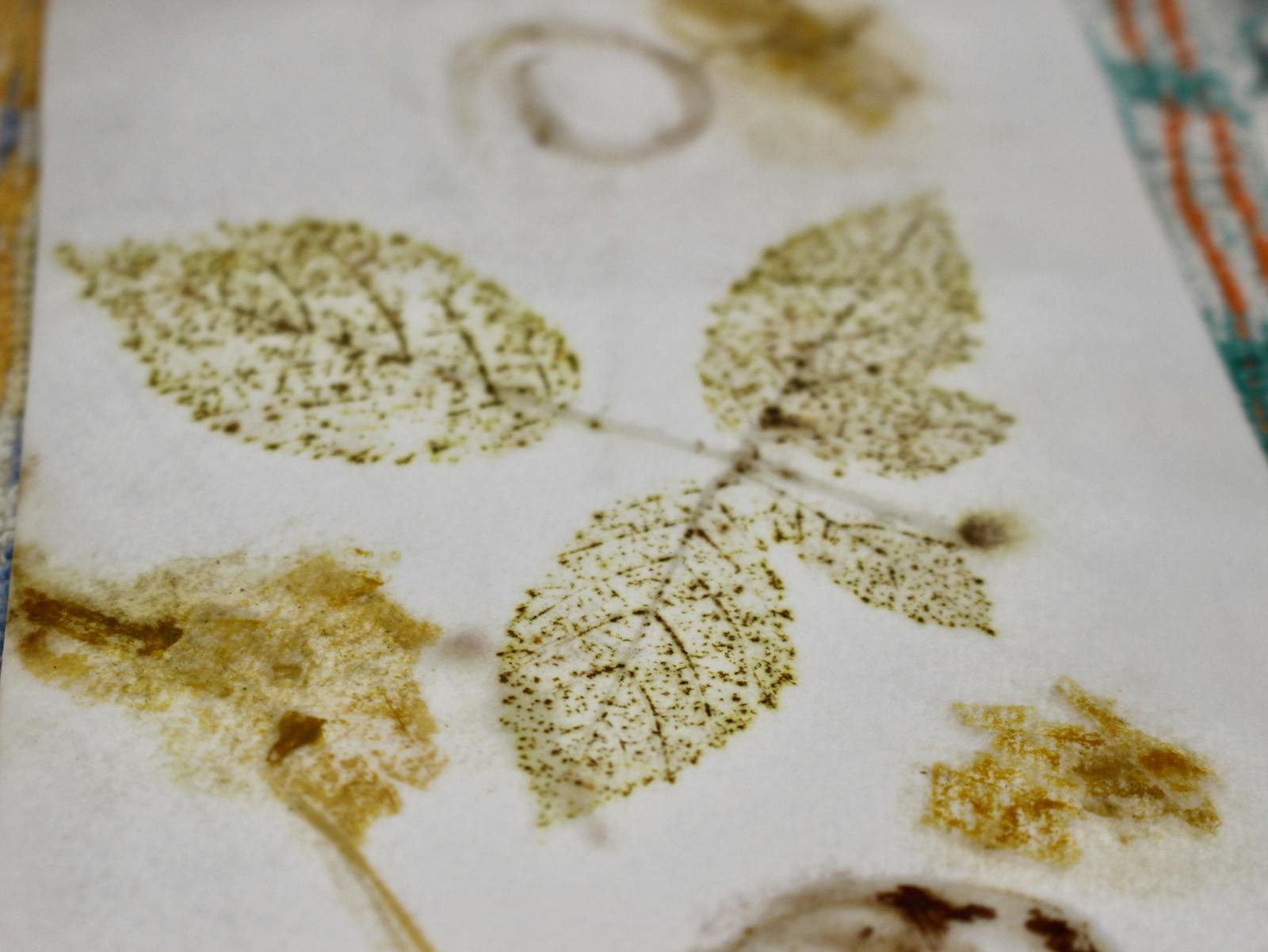 Student Leaf Impression made in the Eco-Printing Workshop