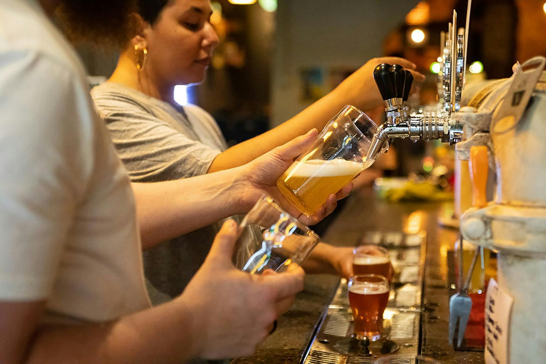 Wayward Brewing Co. Taproom Beers