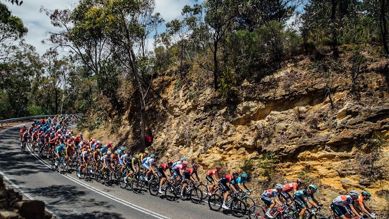 Image for Santos Festival of Cycling: Stage 2 Finish - Men's & Women's