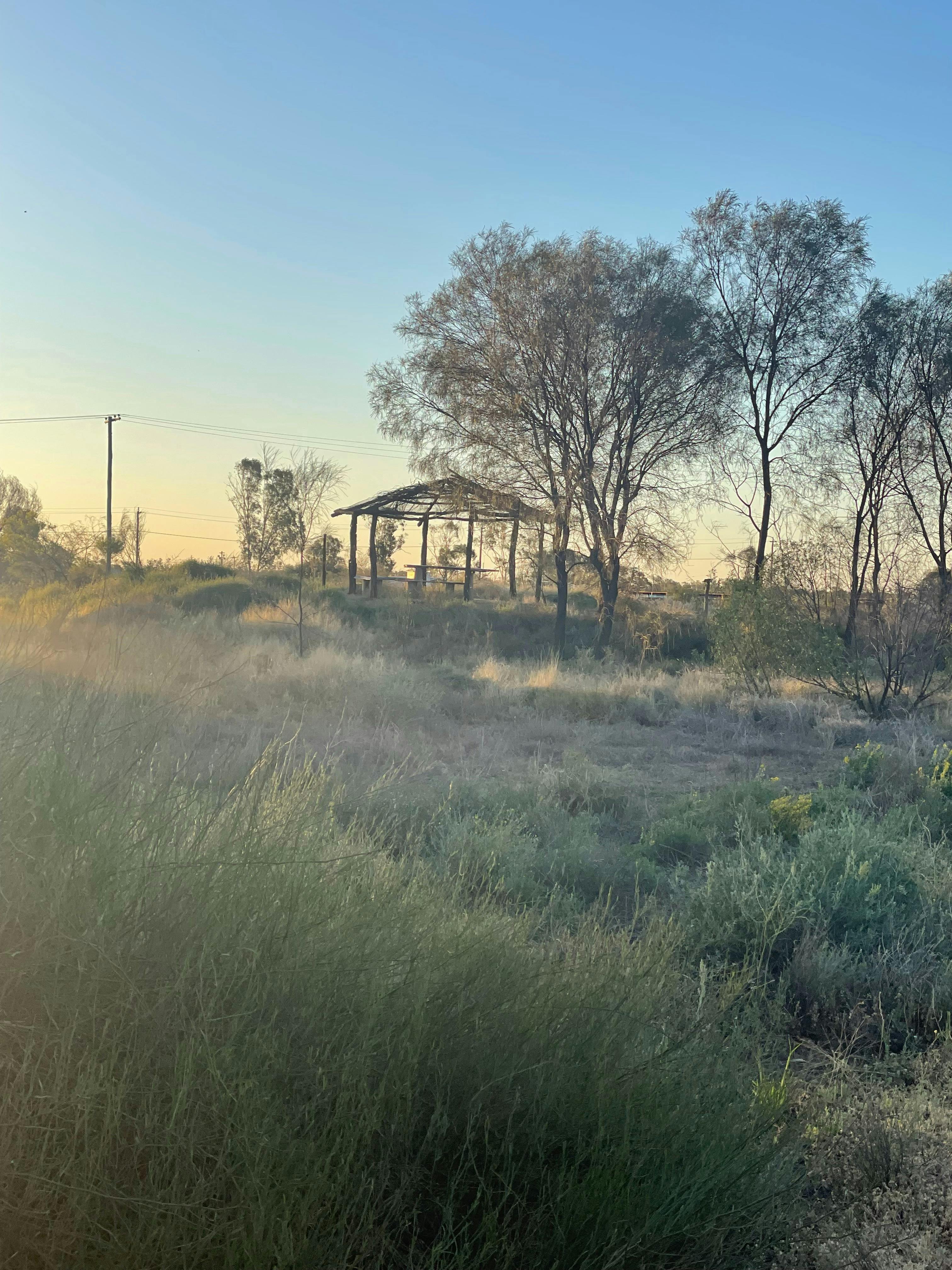 Cunnamulla Bushland Walk